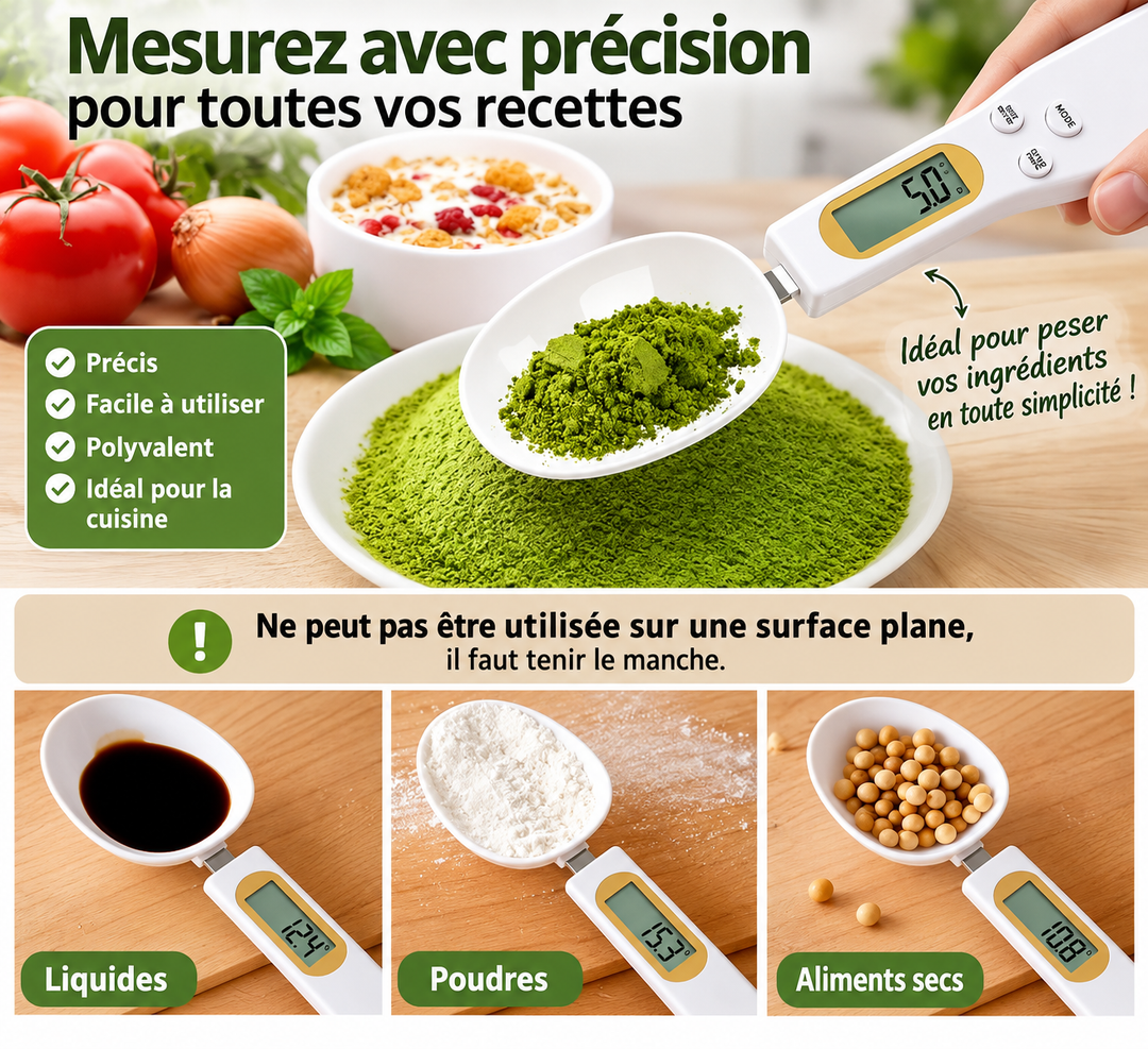 Cuillère-balance numérique 500 g