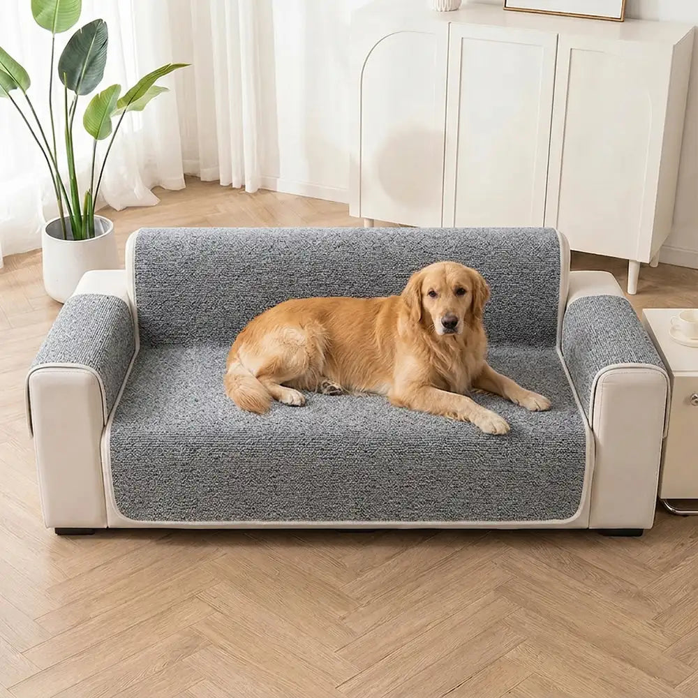 Chenille-Jacquard-Bezug für Sessel und Sofa, kratzfest – Chic – Grau